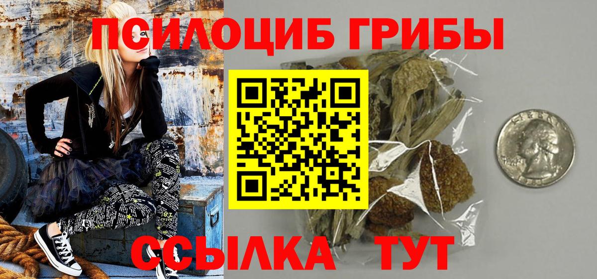 купить наркоту  Вход с VPN  Мценск  Псилоцибиновые грибы прущие грибы 