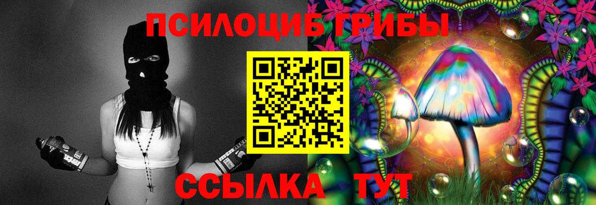 Псилоцибиновые грибы Magic Shrooms Мценск