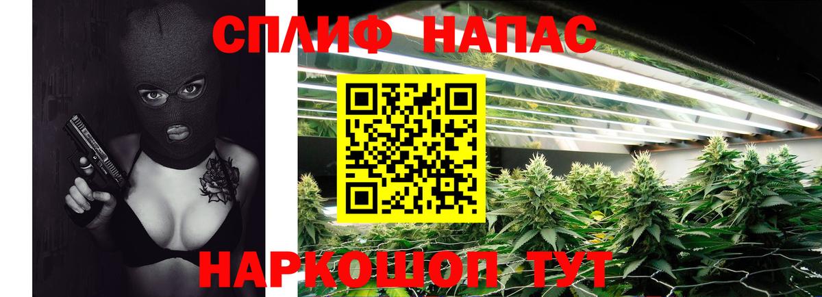 МАРИХУАНА SATIVA & INDICA Мценск